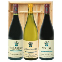 Grands Vins de Bourgogne Maison Pierre Bourée Fils