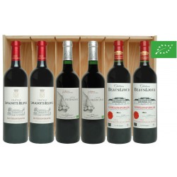 Caisse bois Vin de Bordeaux BIO