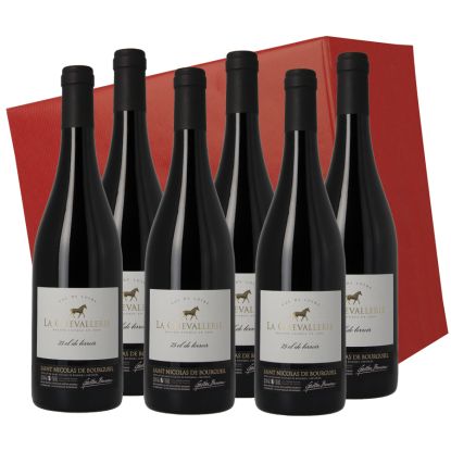 Saint-Nicolas de Bourgueil - Gaëtan Bruneau - La Chevallerie AOC 2024