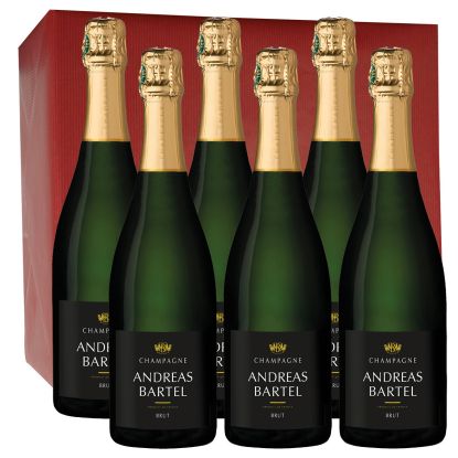 carton de 6 champagne BARTEL