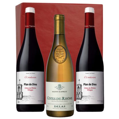Plan de Dieu et Côtes du Rhône Delas