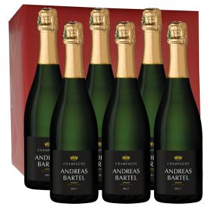 carton de 6 champagne BARTEL