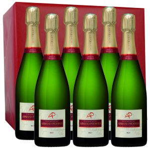 carton Armand Prosper