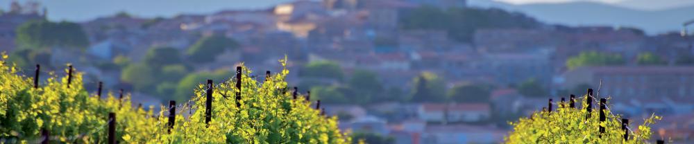 Coffret Provence & Corse